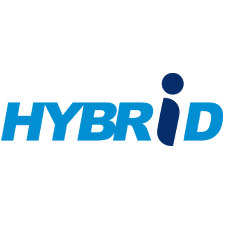 Hybrid Logo